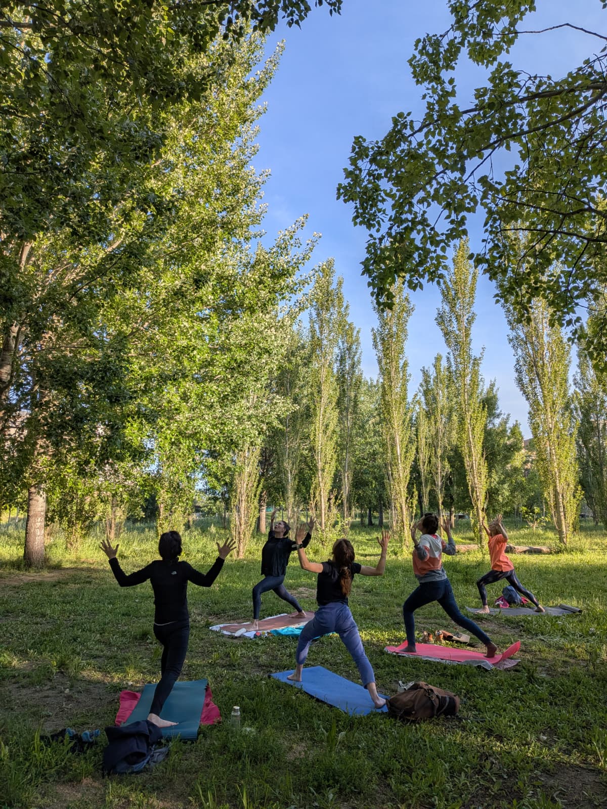 Cours de yoga en plein air dans un parc à Montpellier